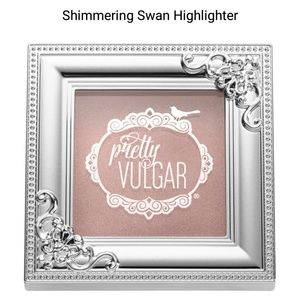 🔥 2 for $22🔥 Pretty vulgar highlighter